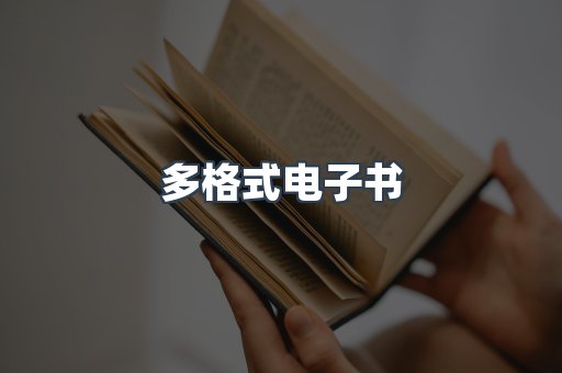 多格式电子书